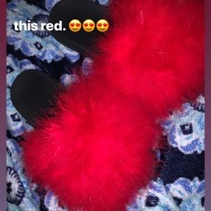 Furry Slides